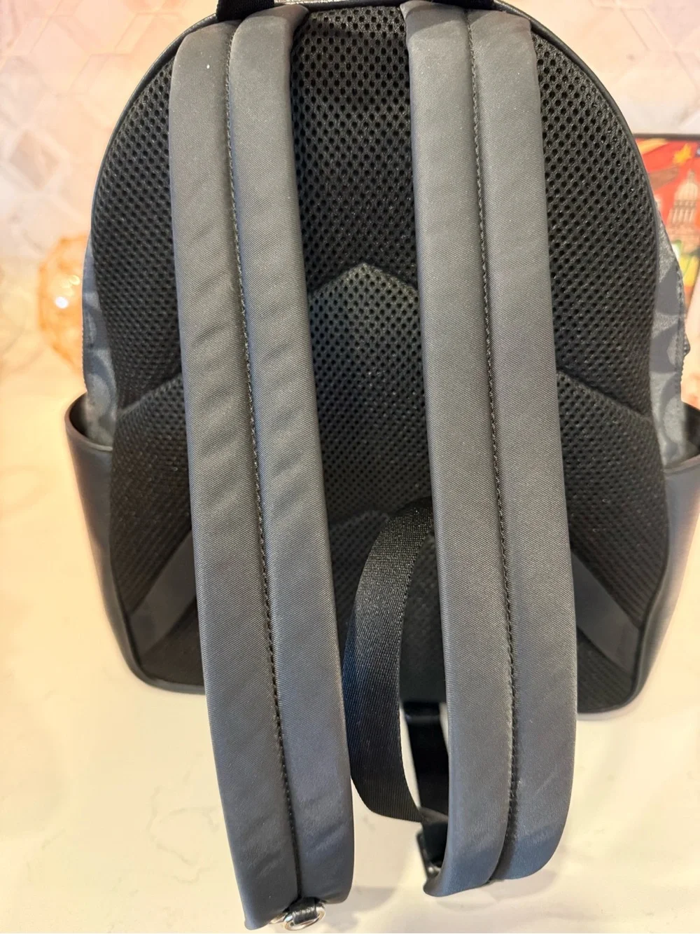 Coach backpack signature